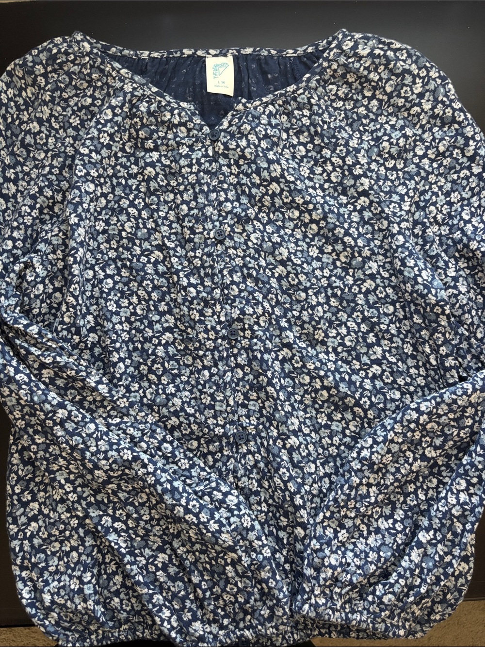 Girls Blue and White Floral Button-Front Women's Top